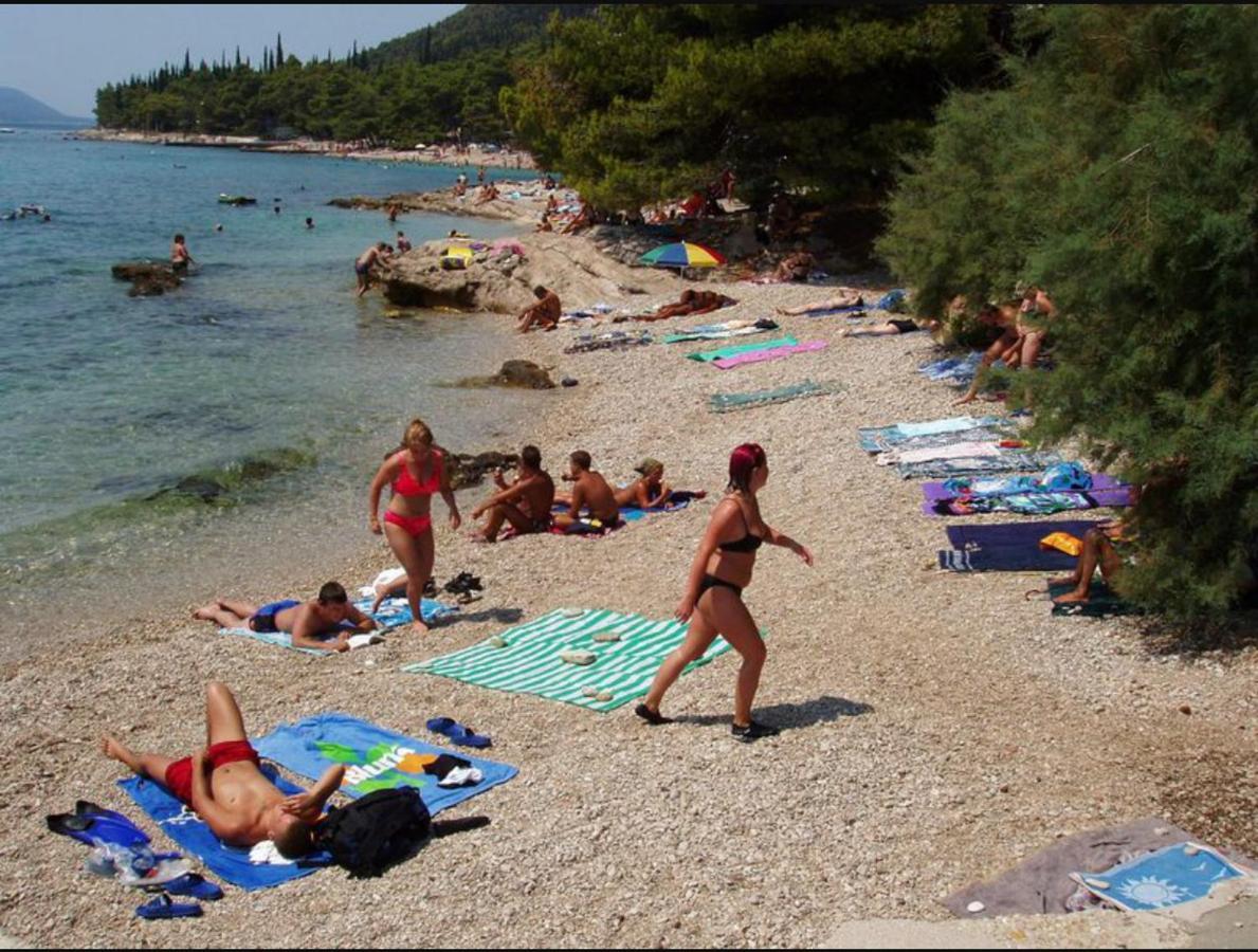 Apartmani Dušanka Orebic Bagian luar foto