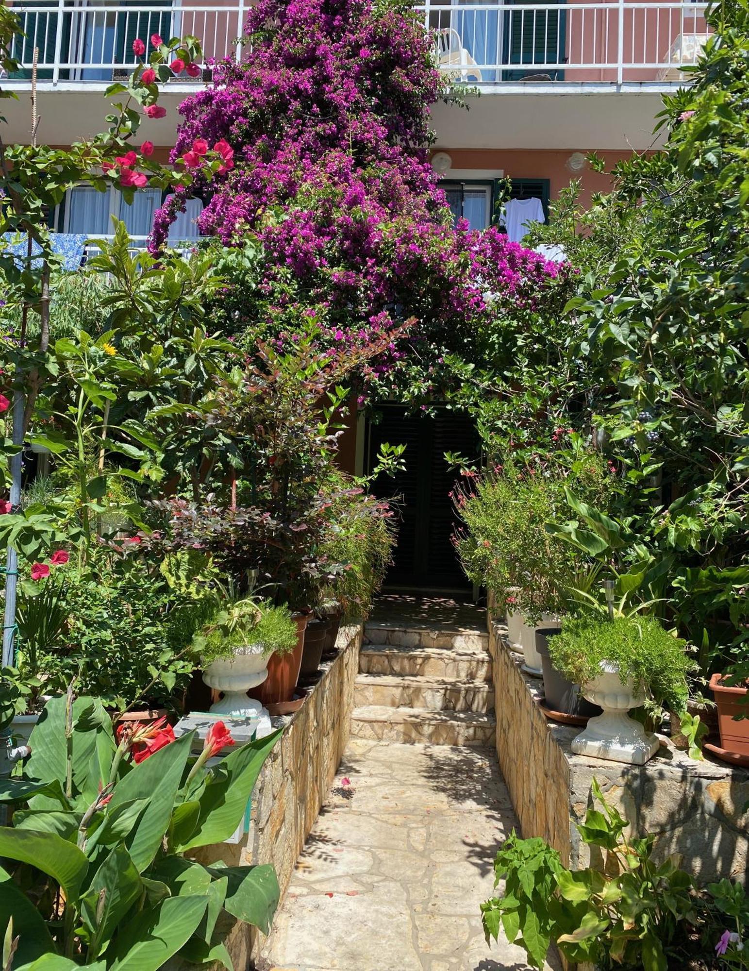 Apartmani Dušanka Orebic Bagian luar foto